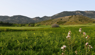 Investment Opportunity Field in the Girne Göçeri Region!