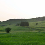 Investment Opportunity Field in the Girne Göçeri Region!