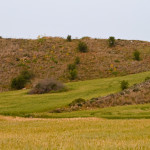 Investment Opportunity Field In The Girne Göçeri Region!