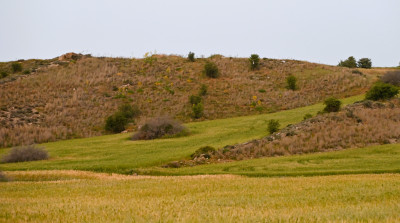 Girne Göçeri Bölgesinde Yatırım Fırsatı Alanı!
