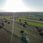 15 Acres of Field with Turkish Title Deed for Sale in the Akdeniz Region!